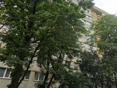 Obor, Colentina, Teiul Doamnei langa Sectia 7 Politie,10 minute metrou